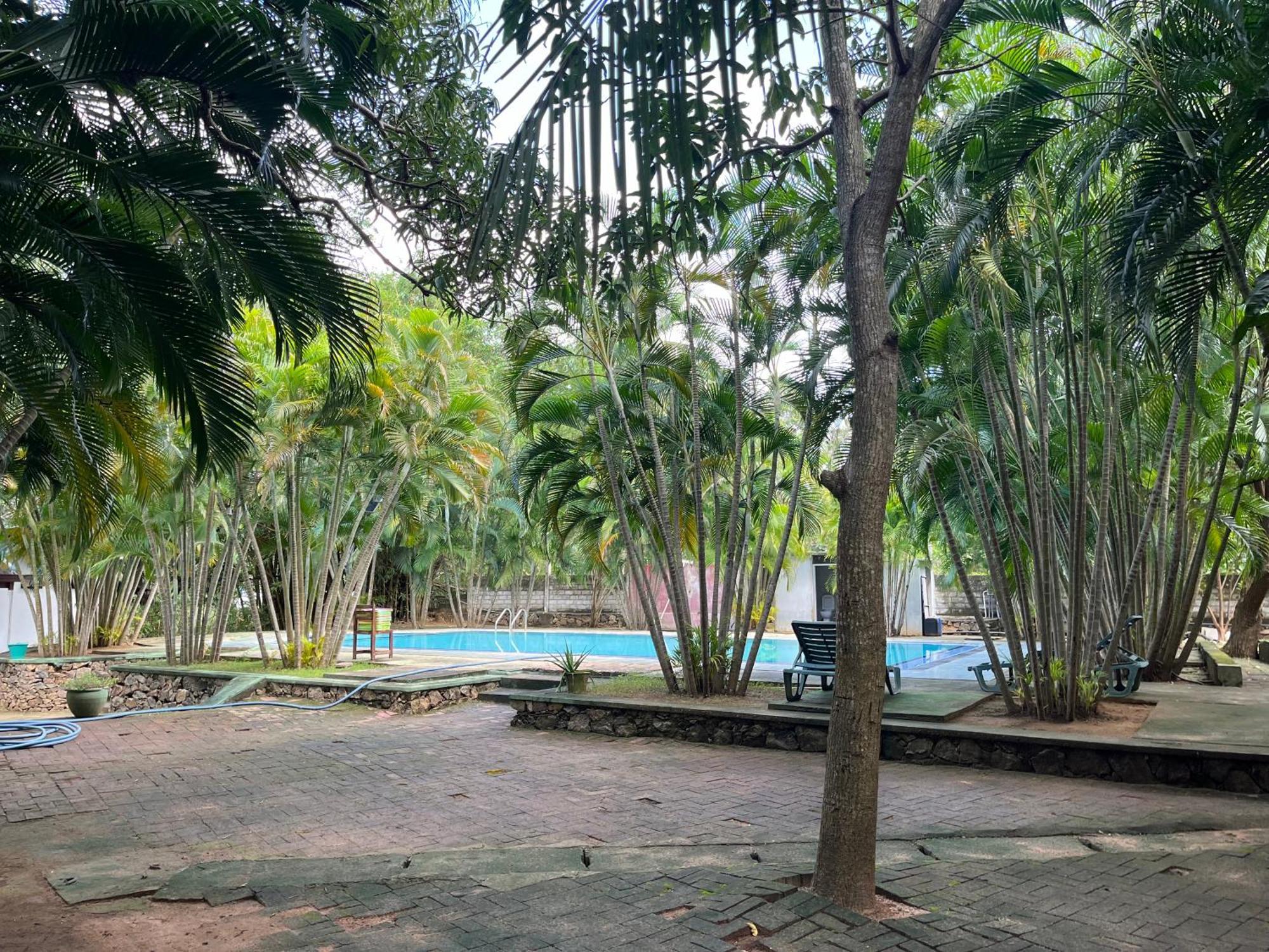 Royal Green Garden - Puttalam Exterior foto